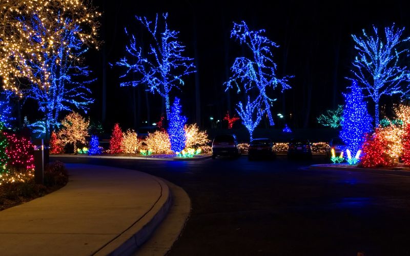 Christmas Light Installation