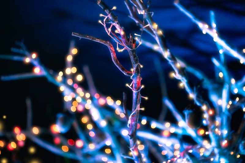 Holiday Lights Hanging in Roswell, GA