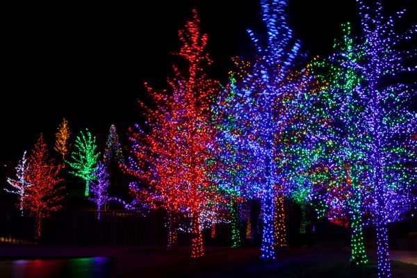 Grow your Christmas Light Installation business